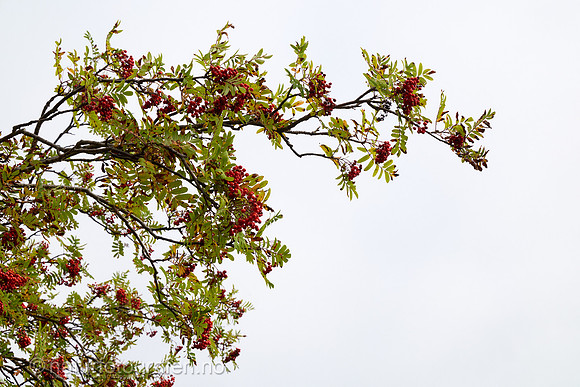 LG2406_001_1280_C