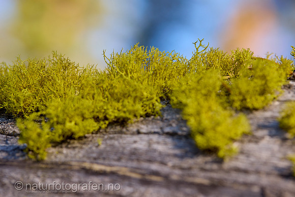 LL2406_020_1200_C