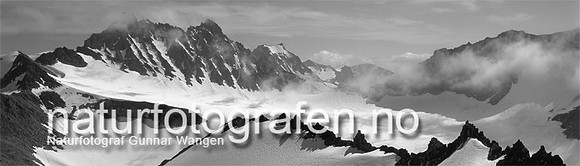 M_LG24_09_U_HD_740