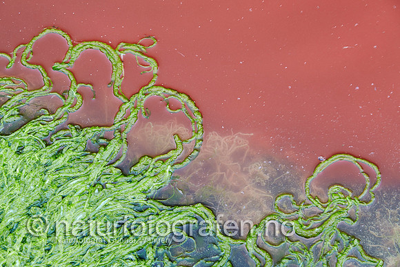 LK1405_036_900_C