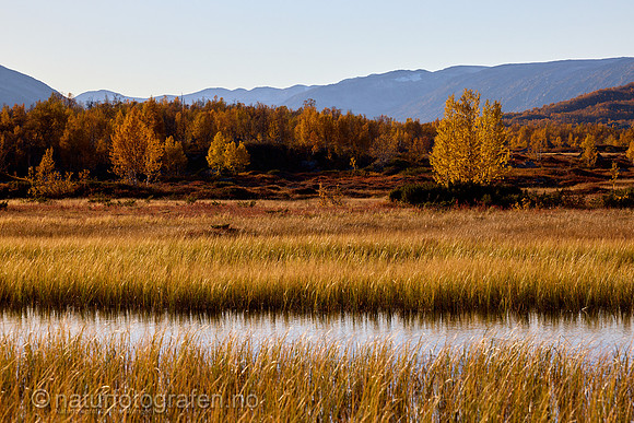 LL2406_145_1200_C