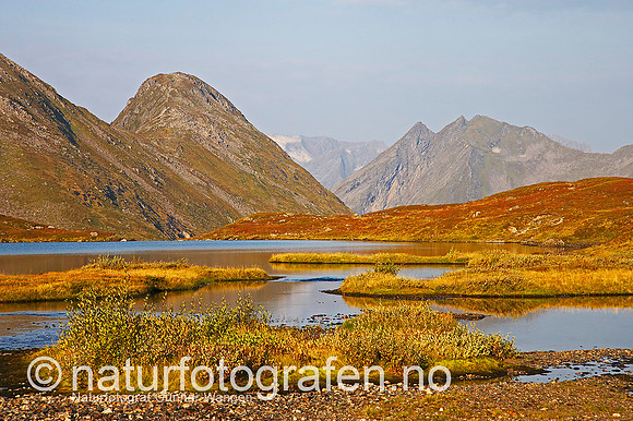 D_LG0616_120_900_C