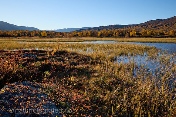 LL2406_147_1200_C