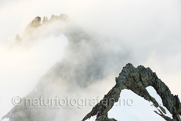 LG1407_273_900_C