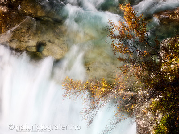 LL2406_079_4x3_1200_C