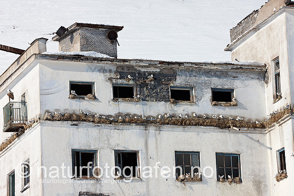 D_EA0901_157_900_C