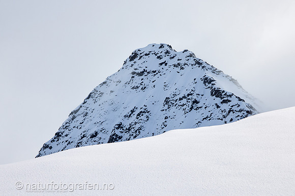 LF2401_007_1280_C