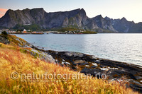 Norge