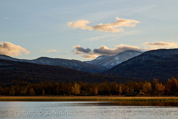 LL2406_008_1200_C