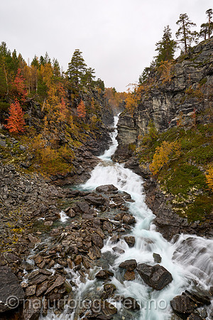 LL2409_047_1280_C