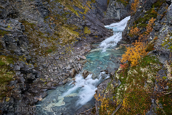 LL2409_077_1280_C