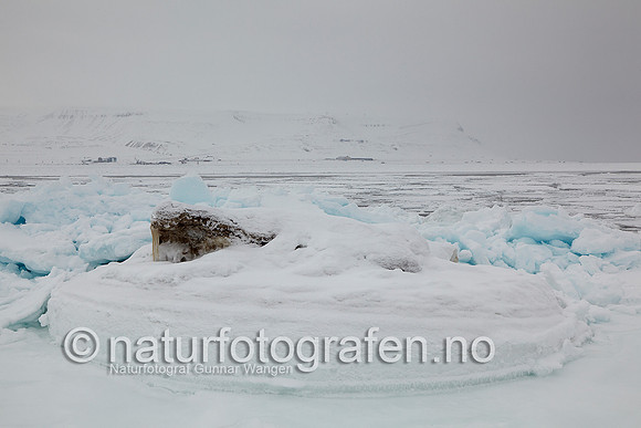 D_EA0901_581_900_C