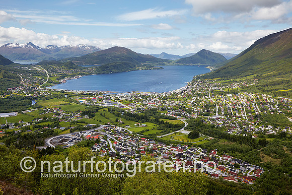 D_LG1002_014_900_C