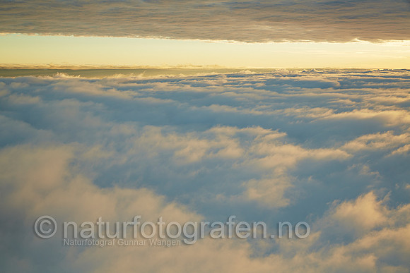 LG1407_251_900_C