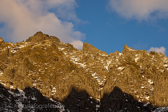 LG2407_182_1280_C