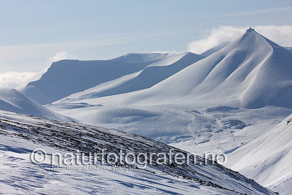 D_EA0901_699_900_C
