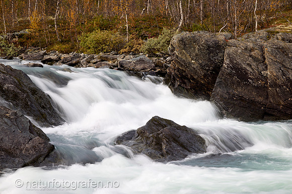 LL2406_183_1200_C