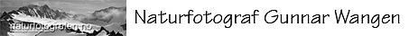 M_LG24_09_U_sv.kv_40 med tekst