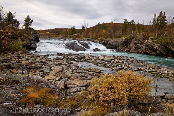 LL2406_180_1200_C