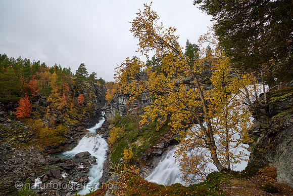 LL2409_058_1280_C