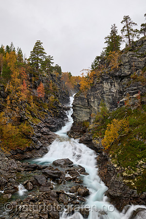 LL2409_049_1280_C