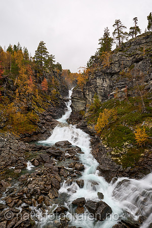 LL2409_048_1280_C
