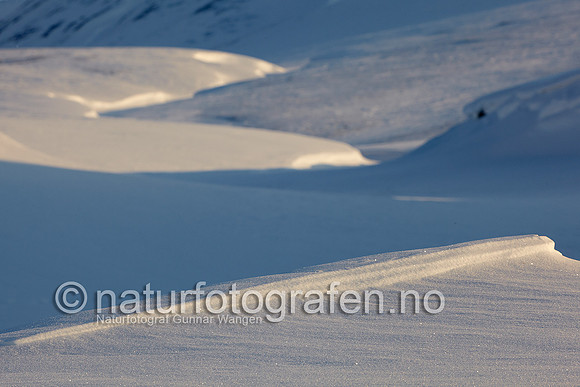 D_EA0901_411_900_C