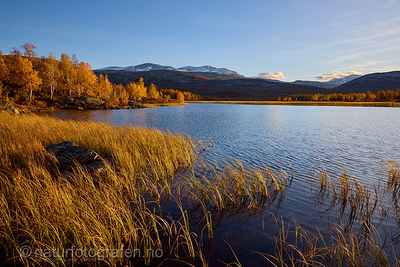 LL2406_005_1200_C