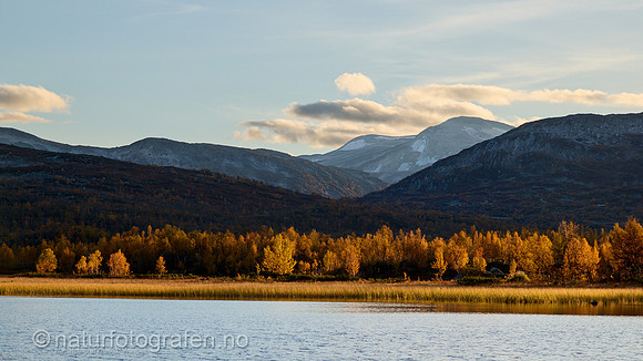 LL2406_001_9x16_1200_C