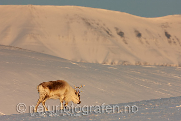 D_EA0901_433_900_C