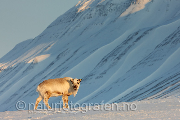 D_EA0901_428_900_C