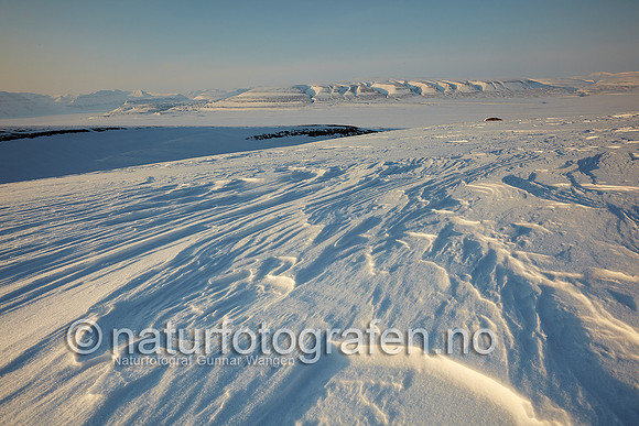 D_EA0901_425_900_C
