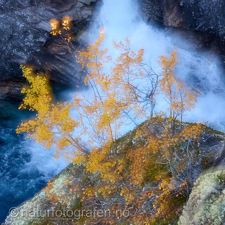 LL2406_052_1x1_1200_C