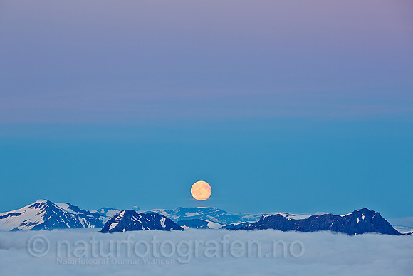 LG1407_190_900_C