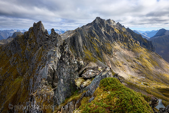 LG2406_068_1280_C