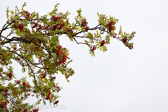 LG2406_002_1280_C