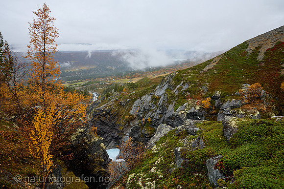LL2409_118_1280_C