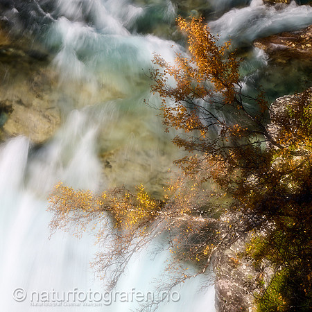 LL2406_079_1x1_1200_C