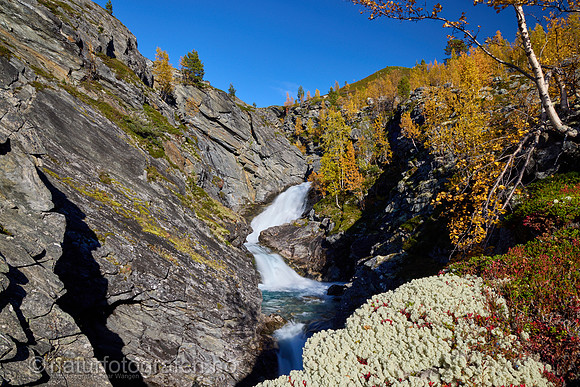 LL2406_104_1200_C