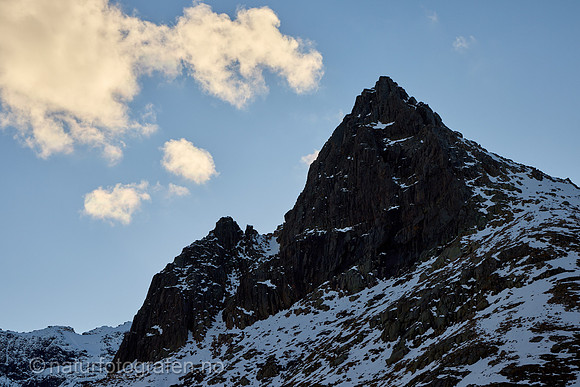 LG2407_165_1280_C